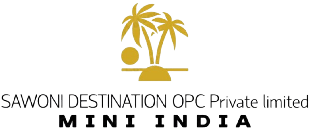 SAWONI DESTINATION LOGO