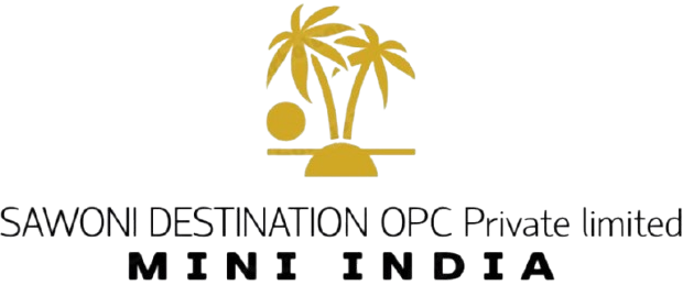 SAWONI DESTINATION LOGO